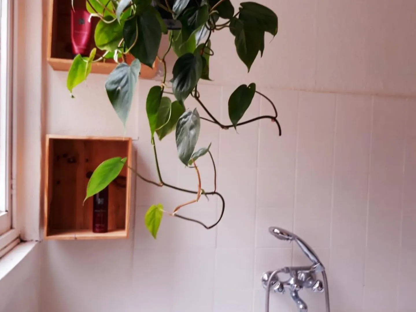 Charming Bruges House In A Perfect Location! Hotel Belgium